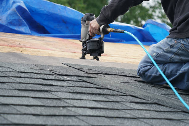 Roof Gutter Cleaning in Boyce, LA